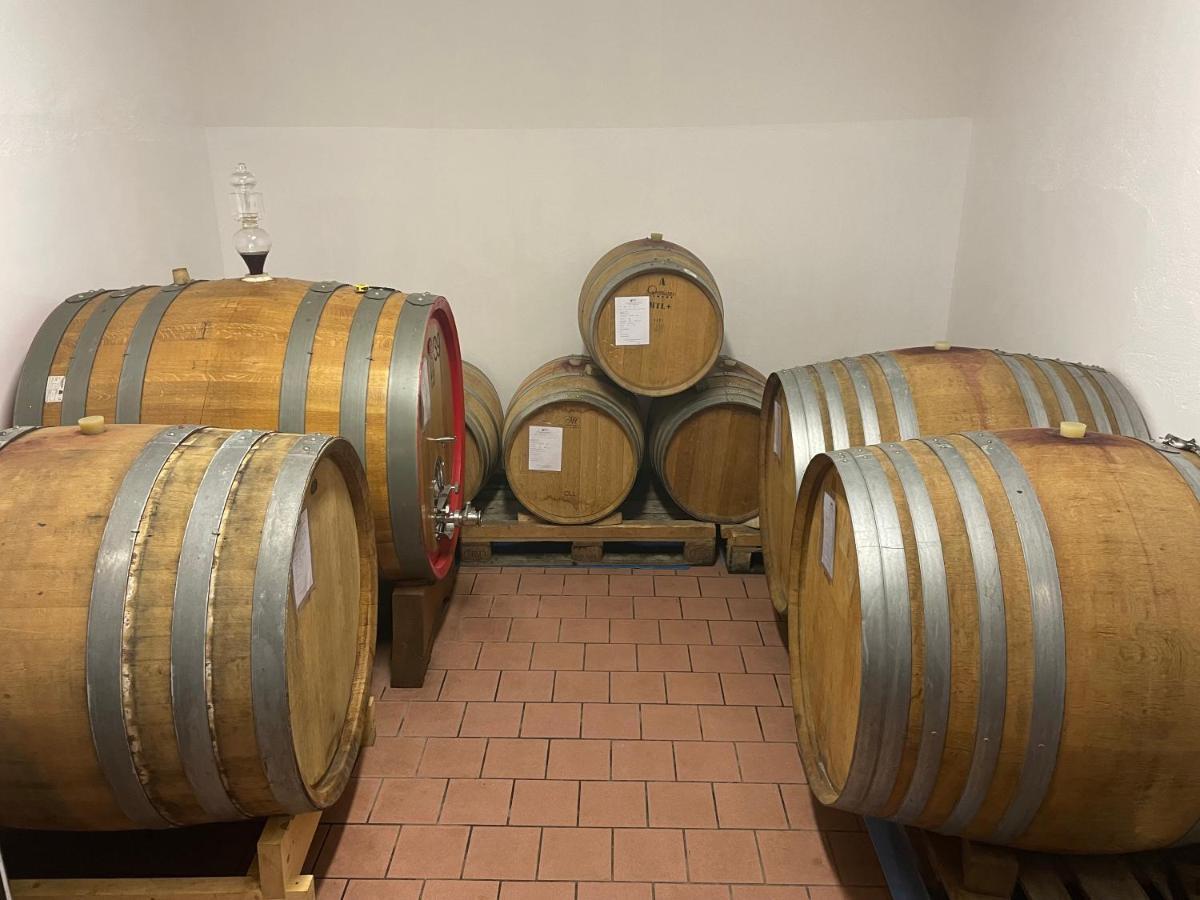 Agriturismo Finestre Di Langa Trezzo Tinella Екстер'єр фото